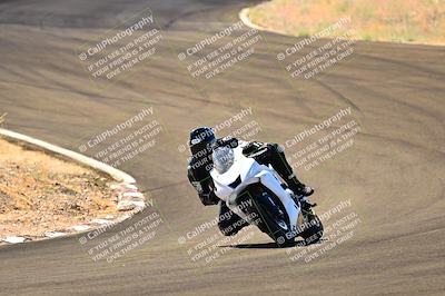 media/Jul-19-2024-2WTD (Fri) [[3b5c8f465f]]/B Group/Session 2 (Turn 4)/